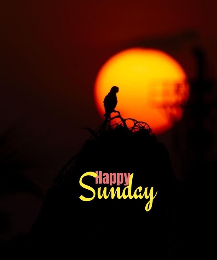 Good Morning Sunday Images for WhatsApp