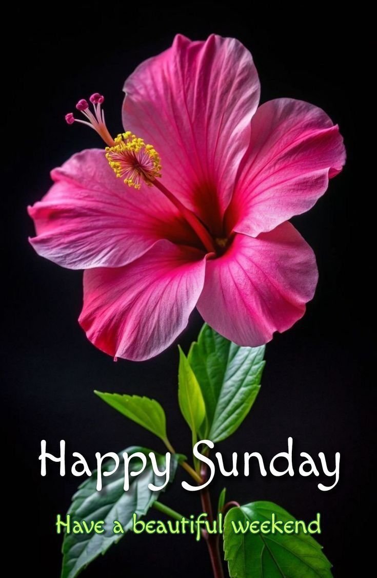Happy Sunday HD Images