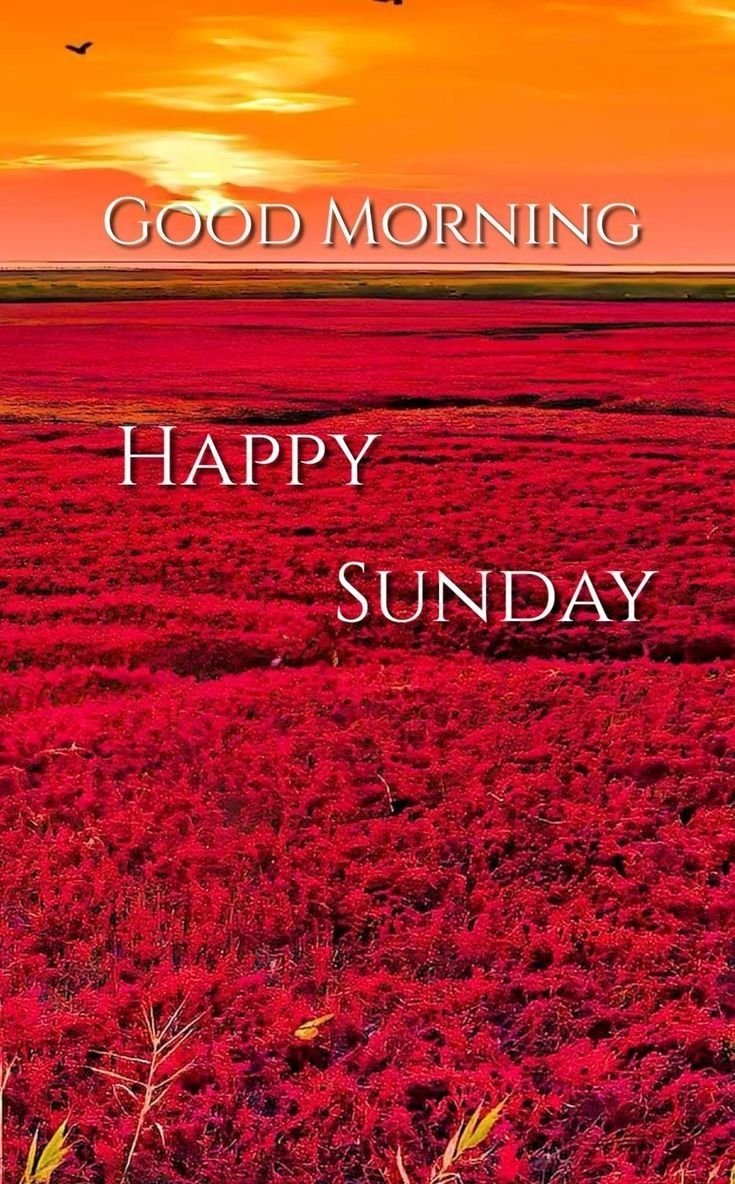 Happy Sunday HD Images