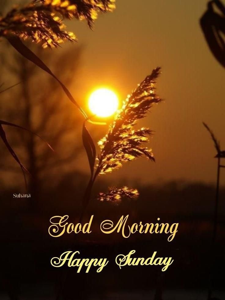 Good Morning Sunday Images