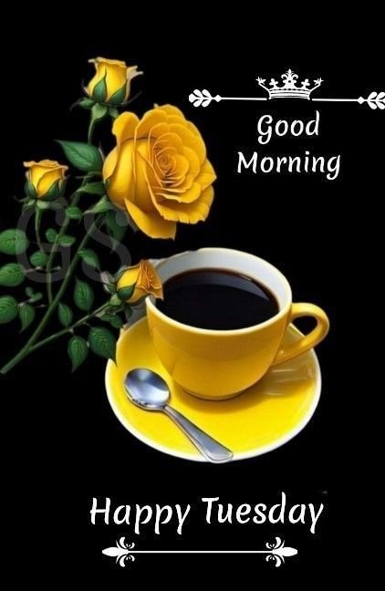 good morning tuesday photos