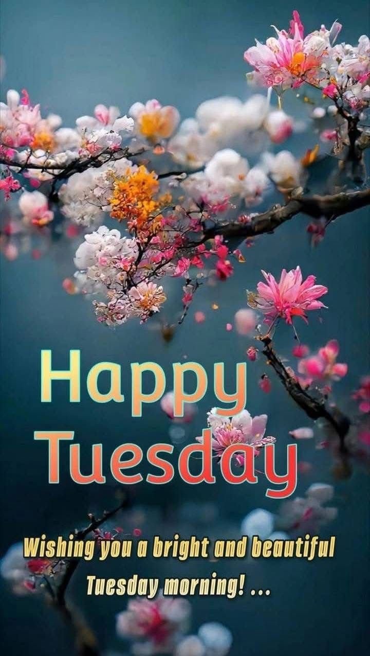 good morning tuesday photos