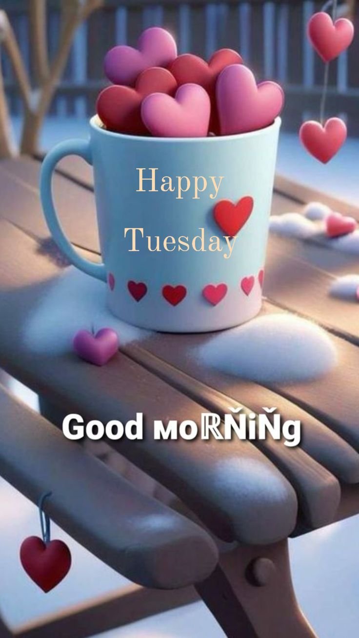good morning tuesday photos