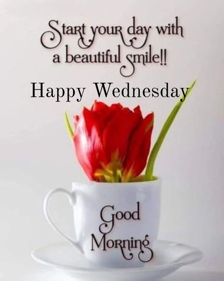 Good Morning Tuesday Images