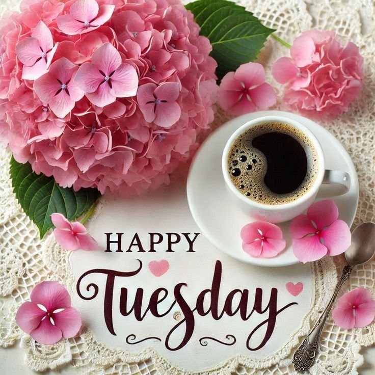 Good Morning Tuesday Images