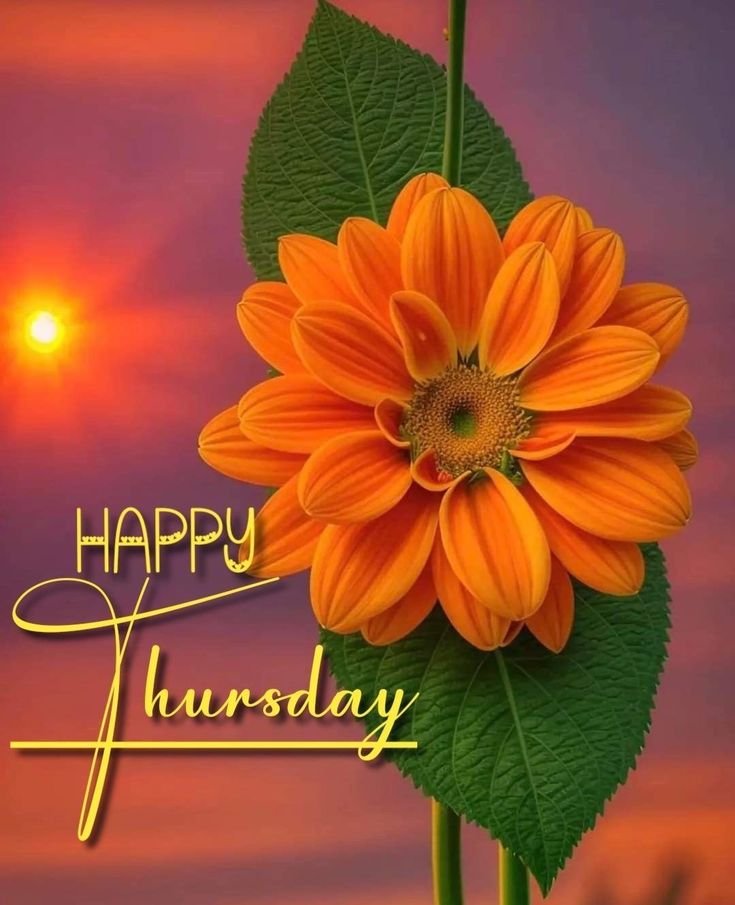 Good Morning Tuesday Images