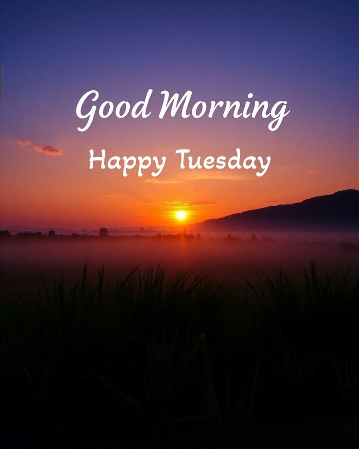 Good Morning Tuesday Photo HD