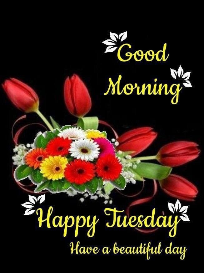 Good Morning Tuesday Photo HD