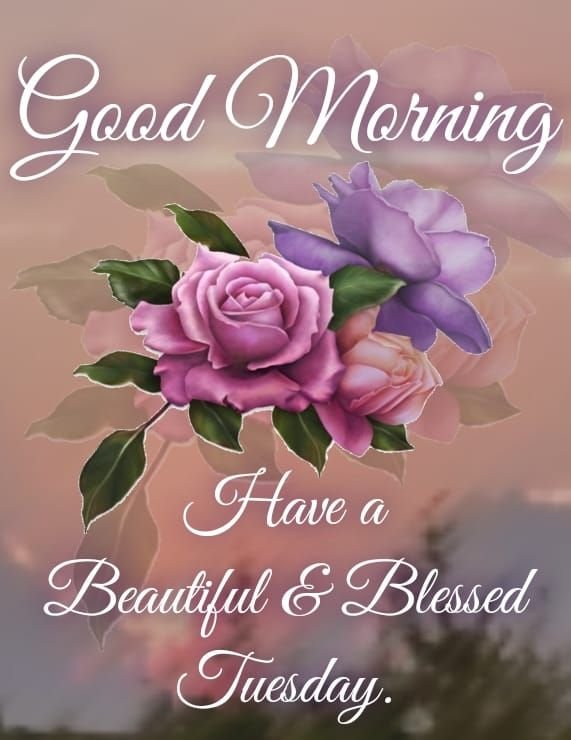Good Morning Tuesday Images