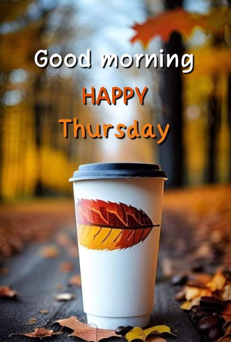 Good Morning Tuesday Photo HD