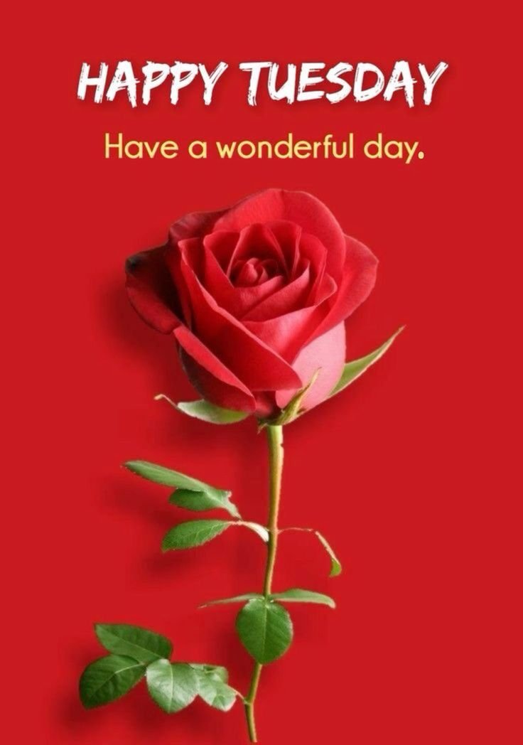 Good Morning Tuesday Photo HD