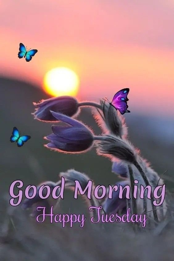 Good Morning Tuesday Images for WhatsApp