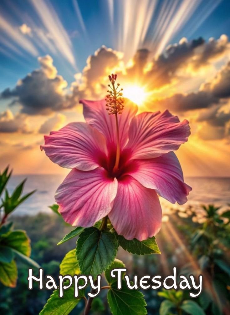 Good Morning Tuesday Images for WhatsApp