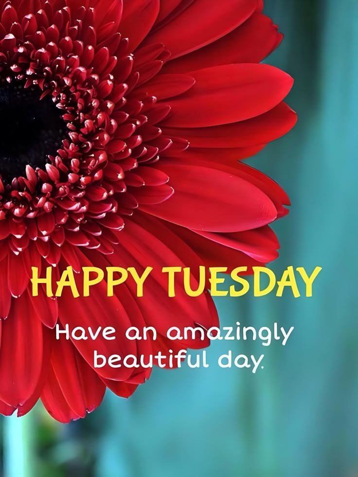 Good Morning Tuesday Images and Quotes