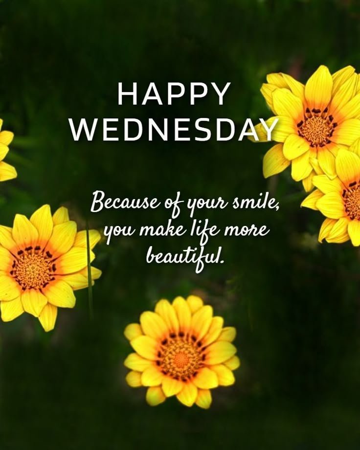 Good Morning Wednesday Photo HD