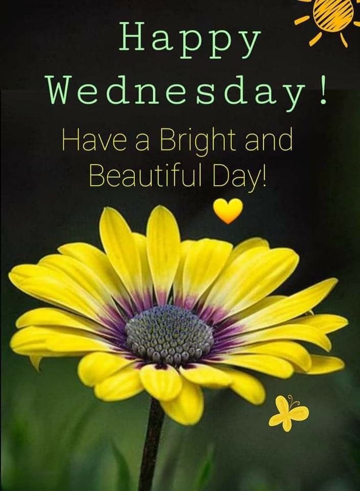 Good Morning Wednesday Photo HD