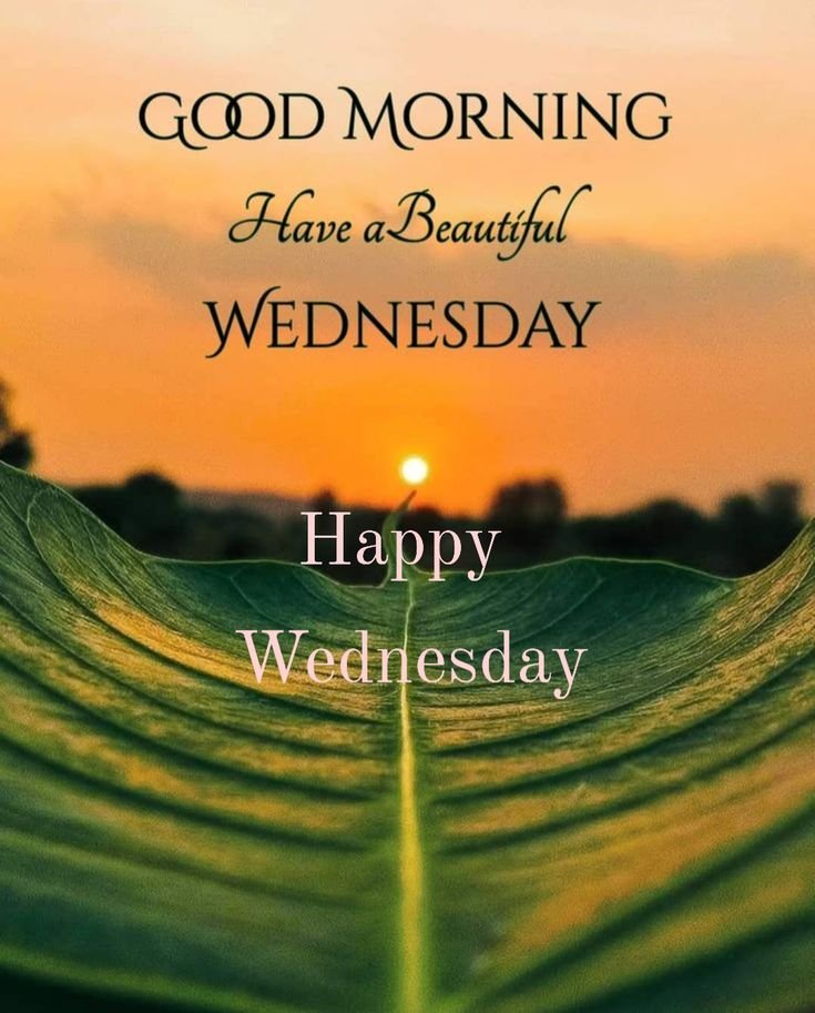 Good morning wednesday images for whatsapp