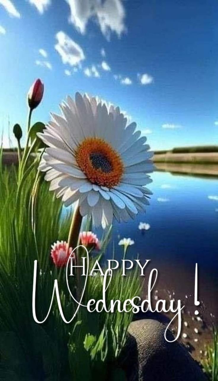 Good Morning Wednesday Photo HD