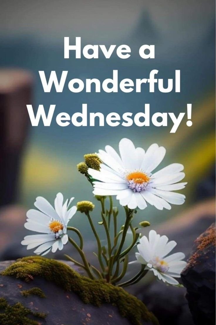 Good morning wednesday images with quotes