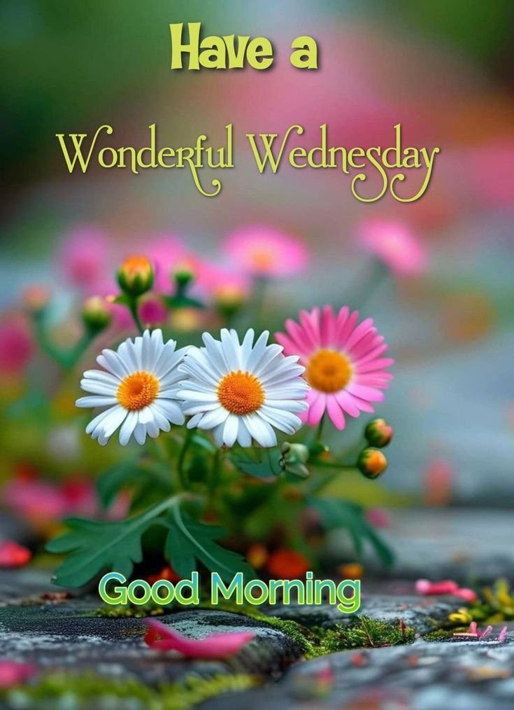 Good Morning Wednesday Images