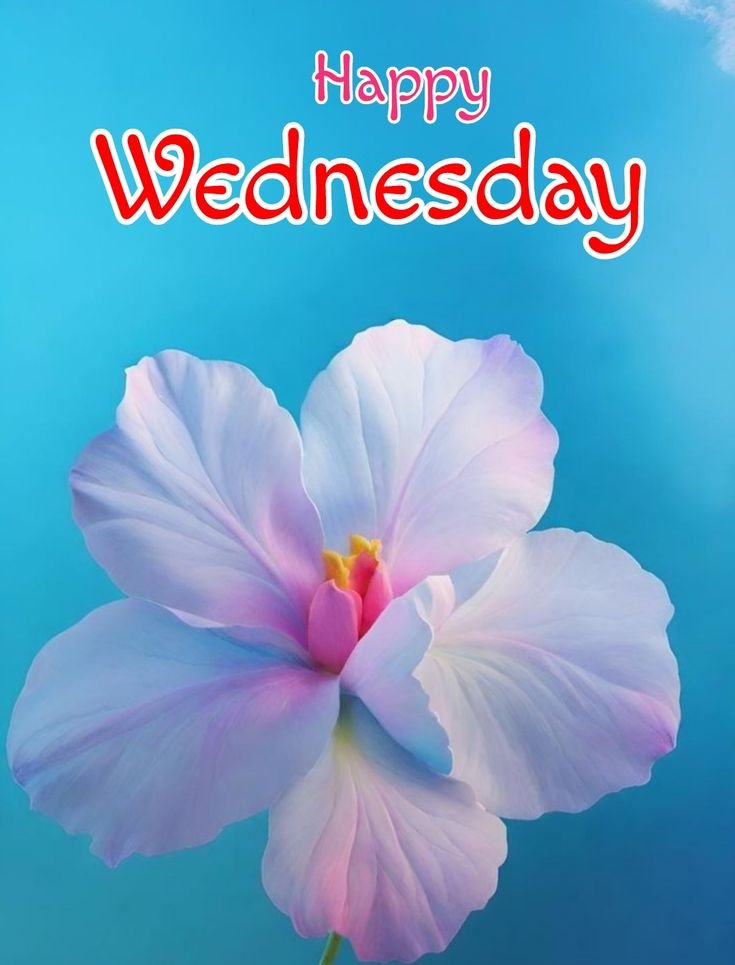 Good Morning Wednesday Images