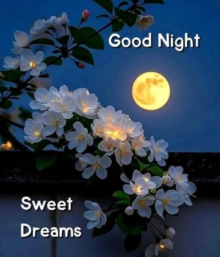 New Good Night Images 2025