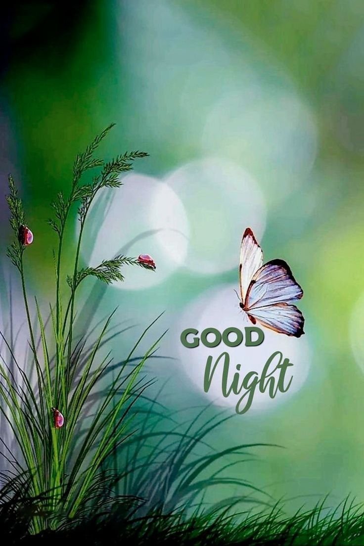 New Good Night Images 2025