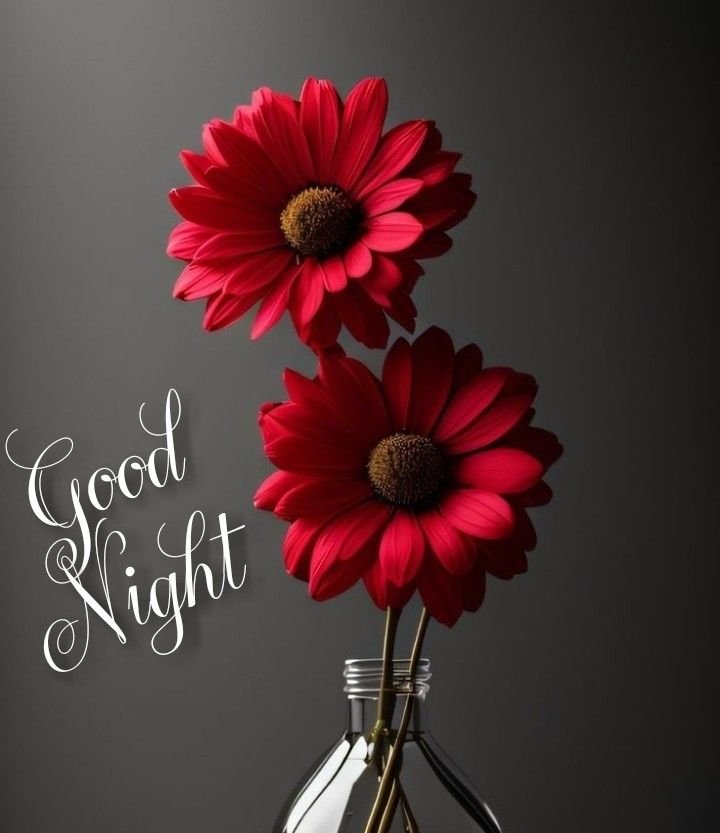 New Good Night Images 2025