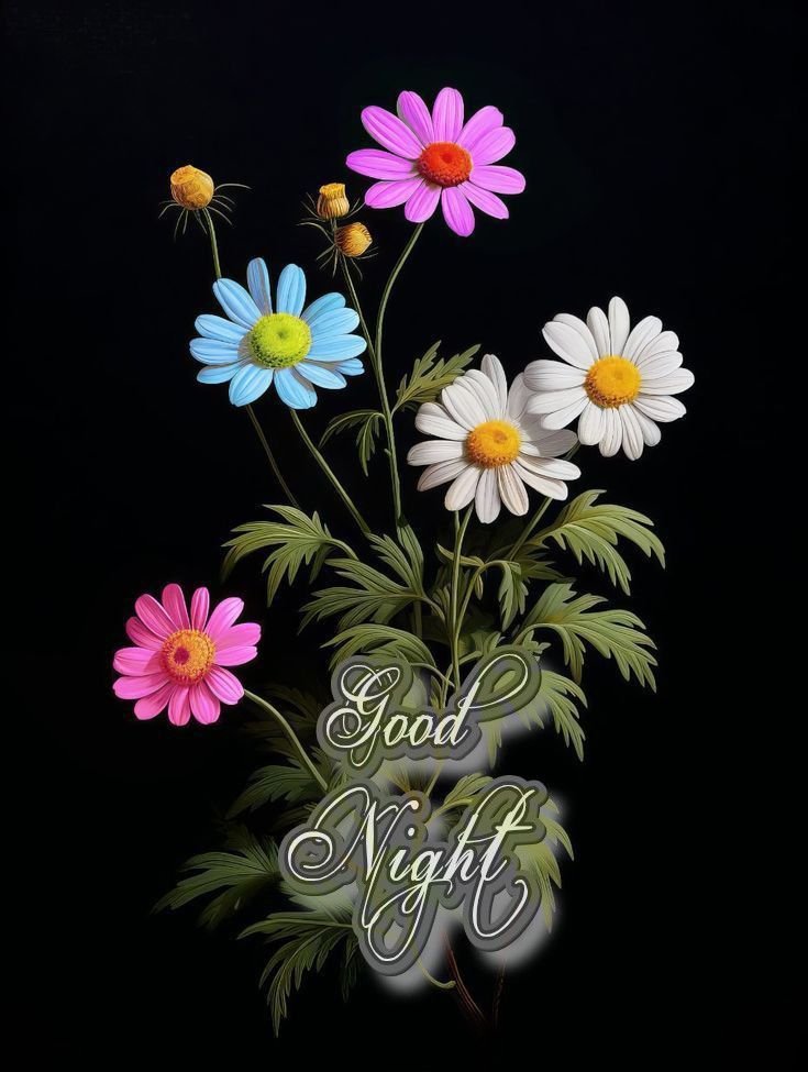 Beautiful Good Night Images