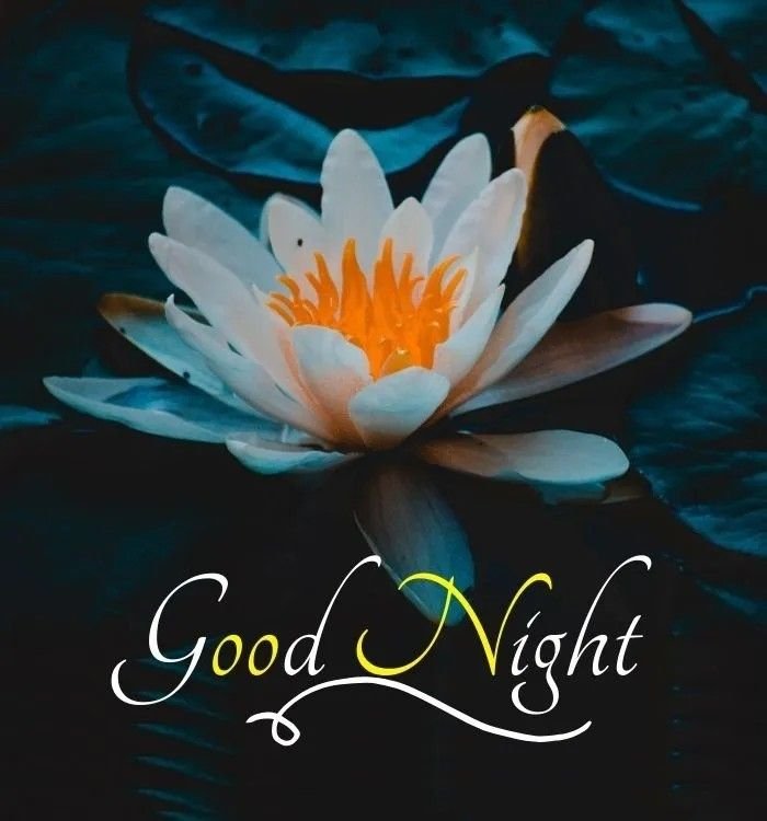 Beautiful Good Night Images