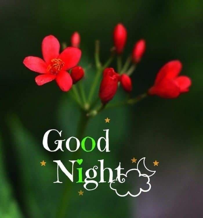 Beautiful Good Night Images