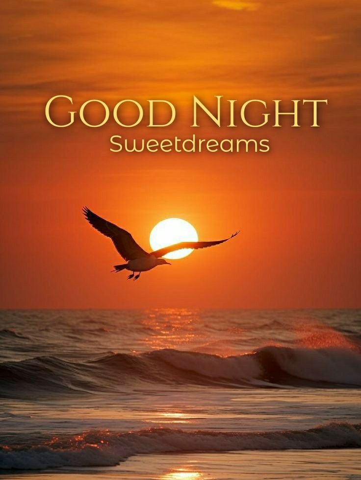 Beautiful Good Night Images