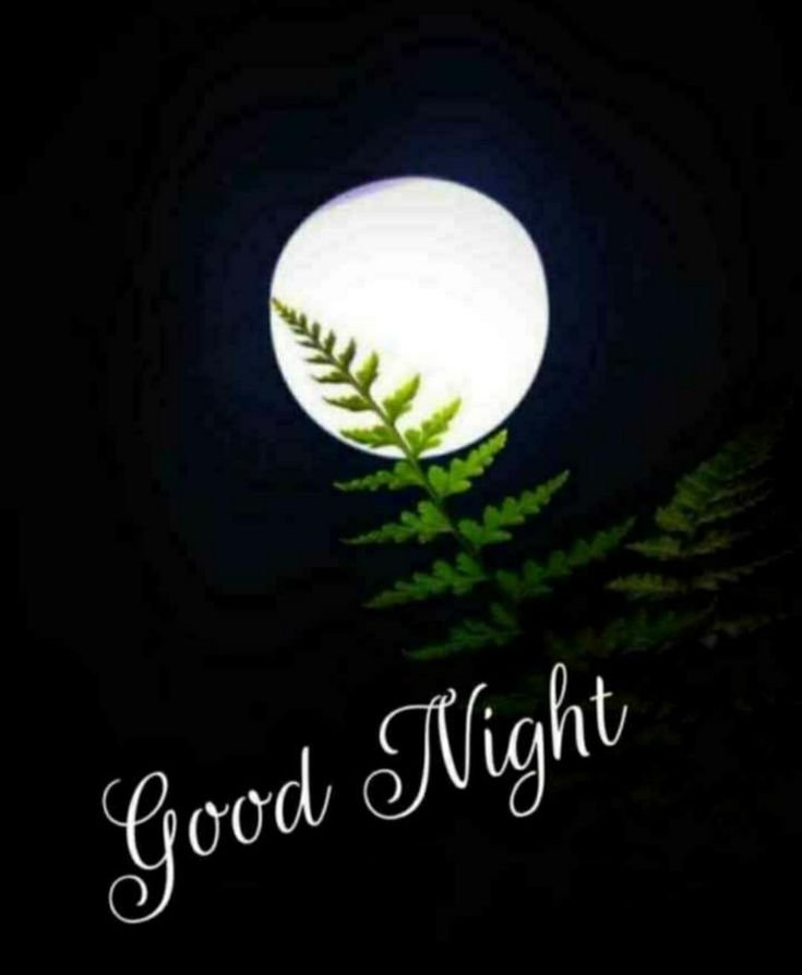 Beautiful Good Night Images