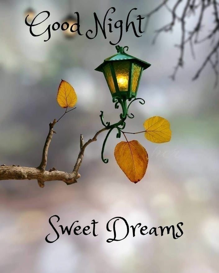 Good Night Photos