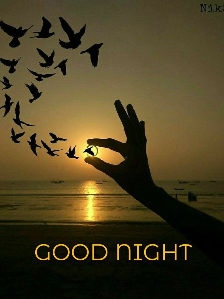 Good Night sweet Dreams Images