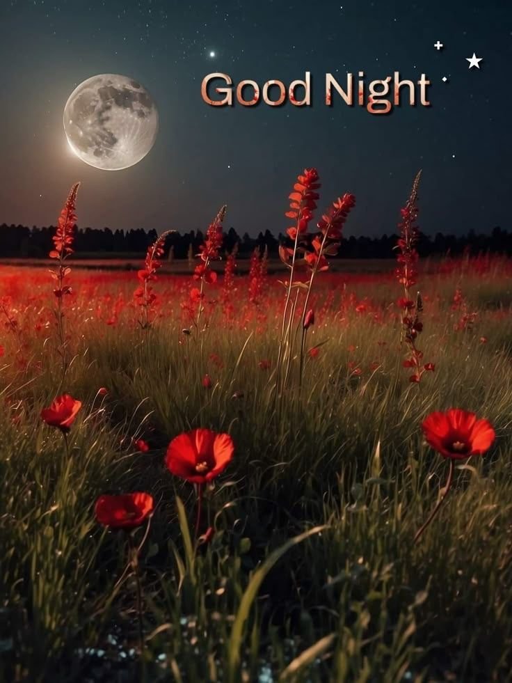Good Night Images New Hd