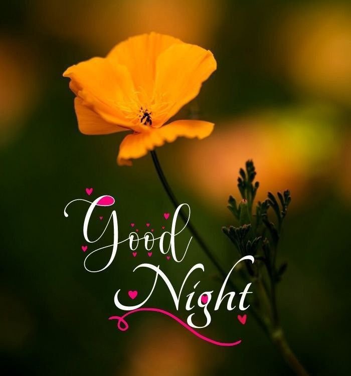 Good Night Images New Hd