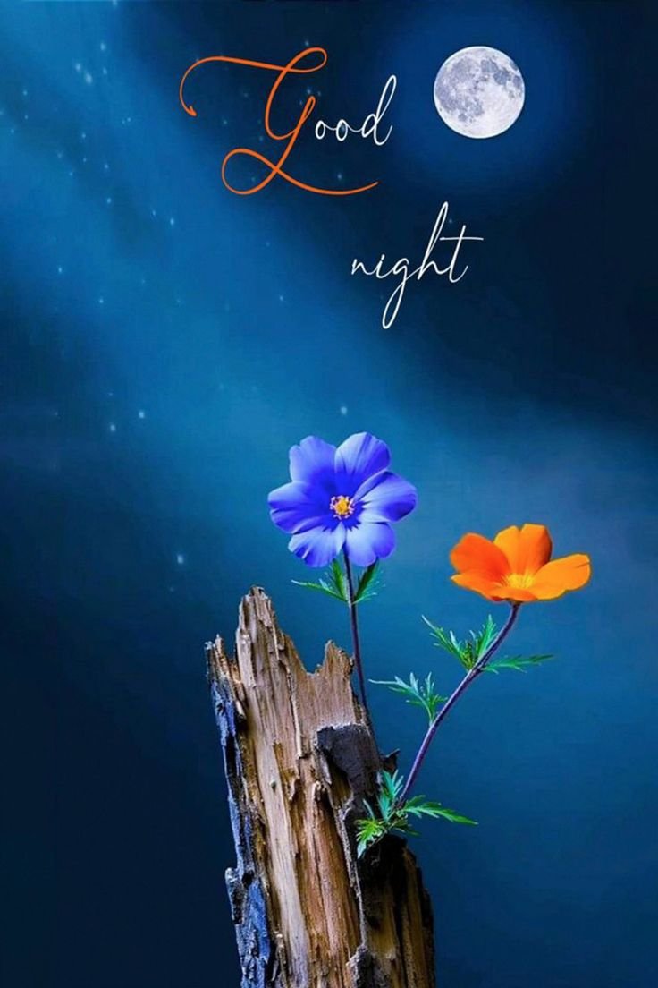 Good Night photo Love