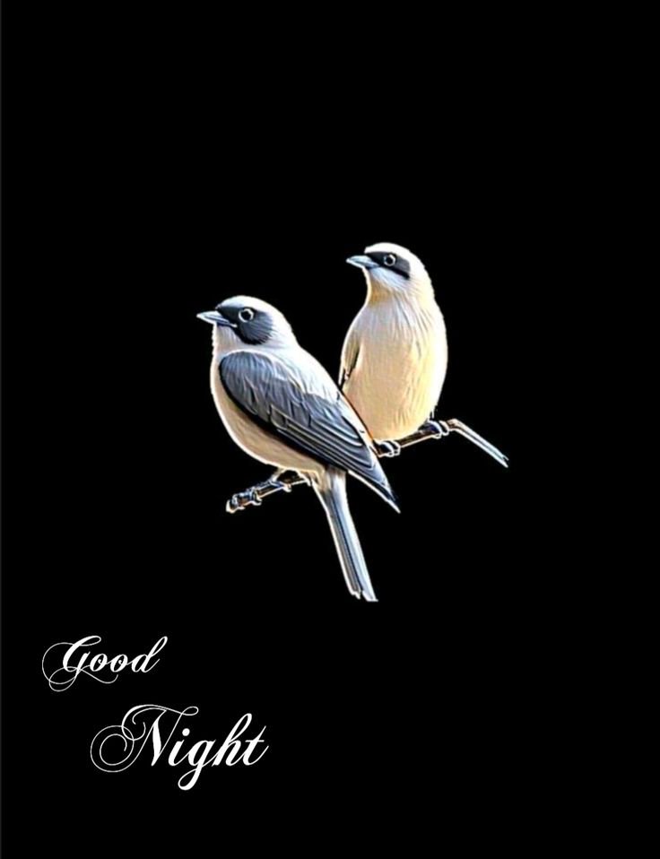 Good Night sweet Dreams Images