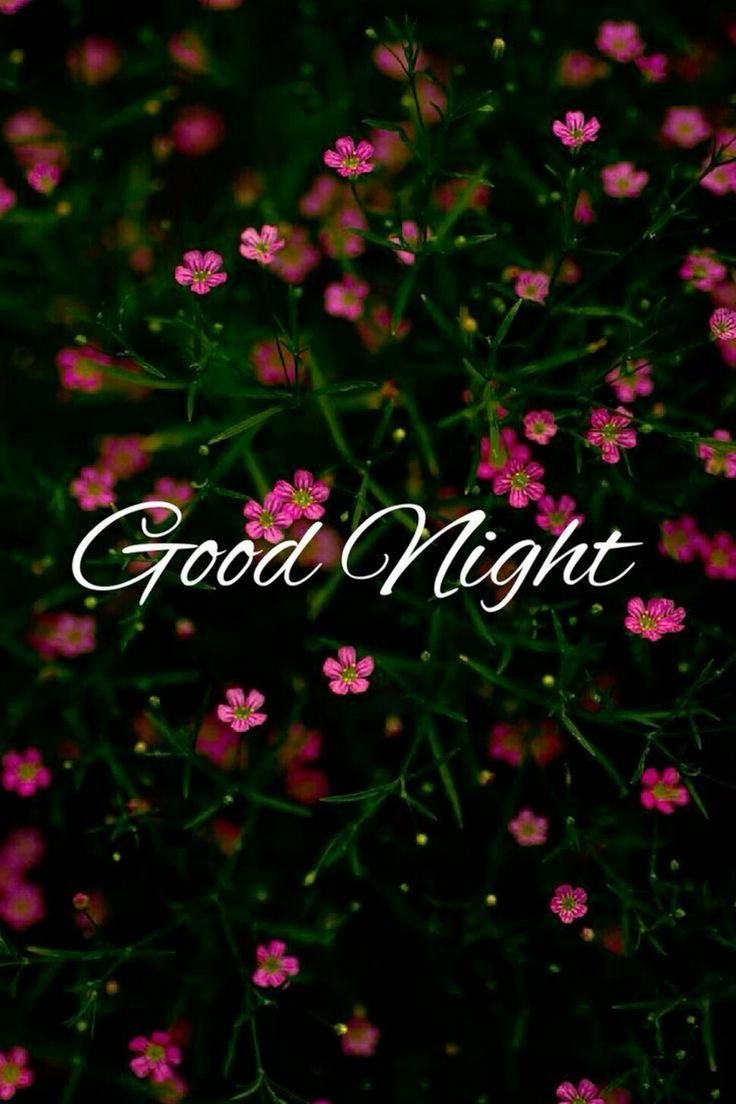 Good Night sweet Dreams Images