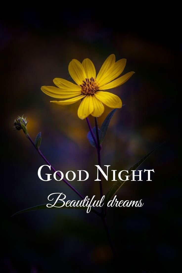 Special Good Night Images