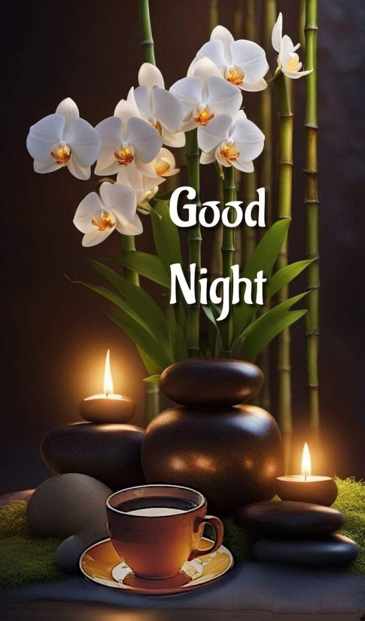 Special Good Night Images