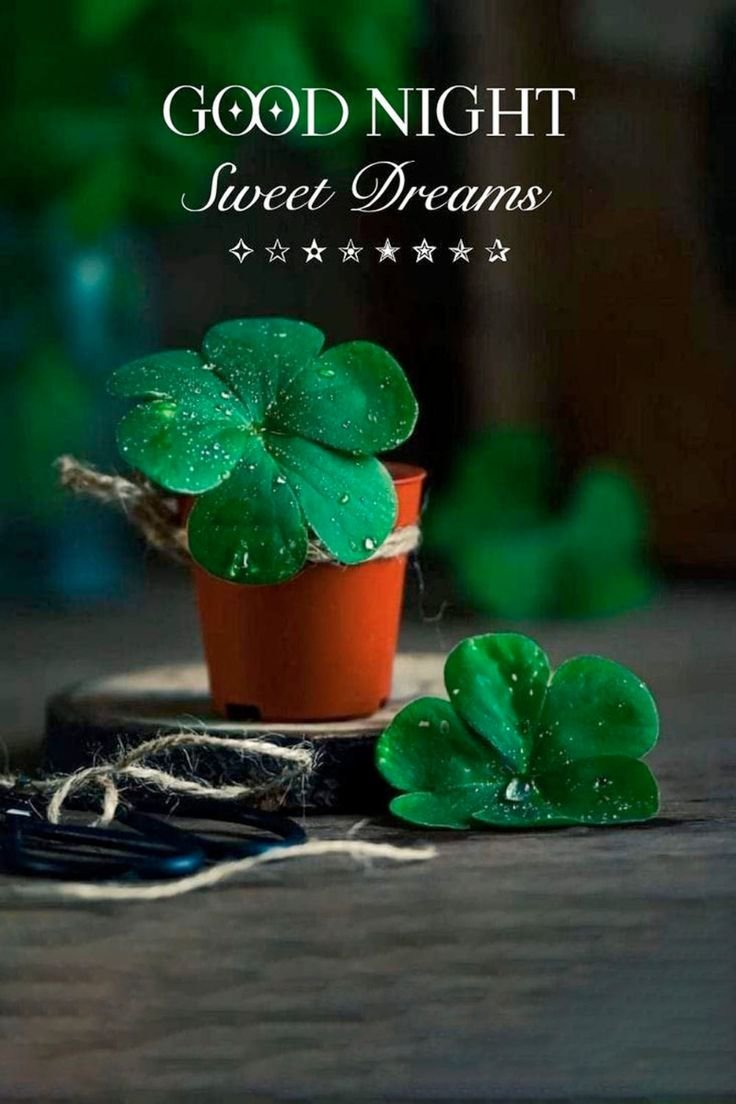 Special Good Night Images