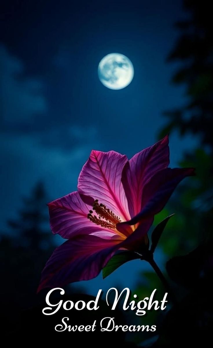 Special Good Night Images