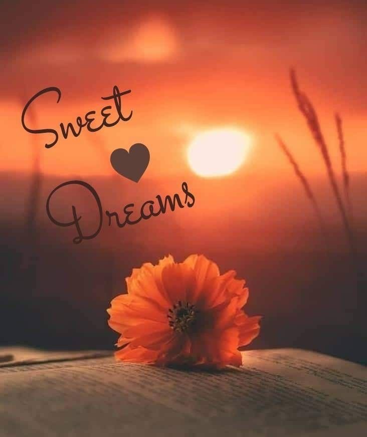 Special Good Night Images