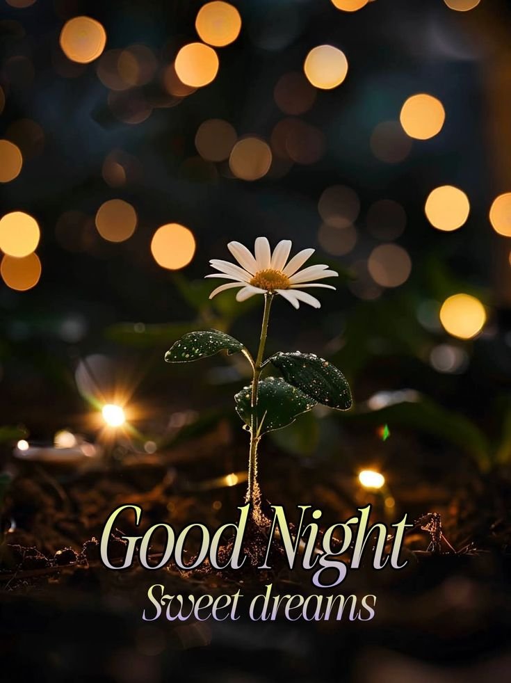 Good Night photos Hd