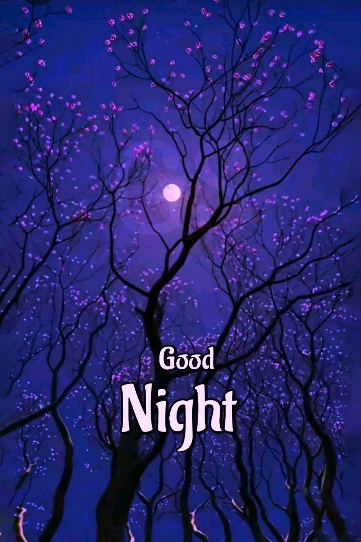 Good Night Pics HD