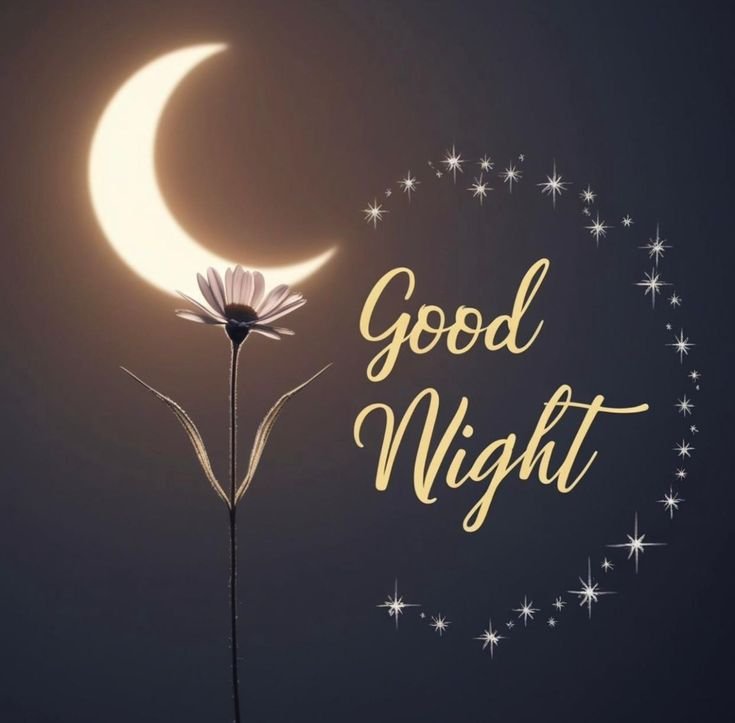 Beautiful Good Night Photo With Quotes