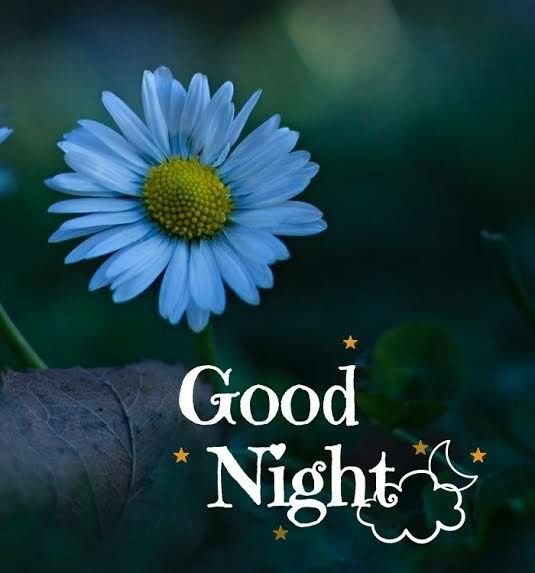 Beautiful Good Night Photo With Quotes