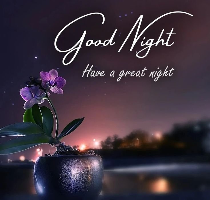 Beautiful Good Night Photo With Quotes